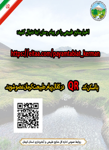 ایتا