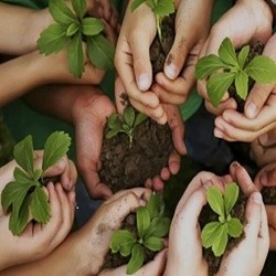 همیار طبیعت**22900**نفر