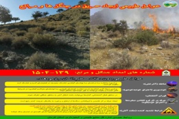 اینفوگرافیک