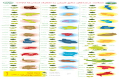 مساحت عرصه‌های منابع طبیعی به تفکیک استان‌ها بر اساس نقشه پوشش گیاهی سال 1399