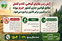 حفاظت