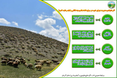 اگر بخواهیم مدیریت چرای خوب در مرتع داشته باشیم ، چه نکاتی را باید رعایت کنیم؟