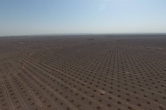 عکس‌ جنگل