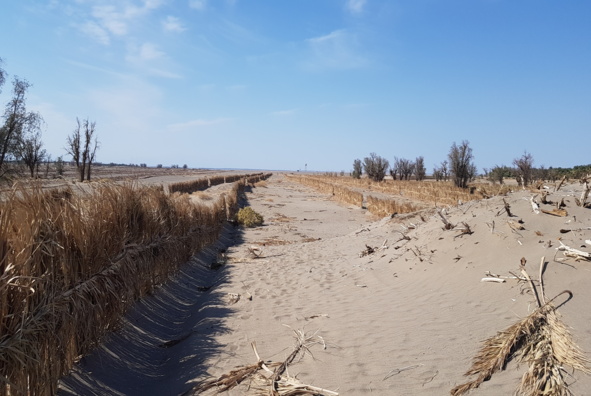 عکس بیابان