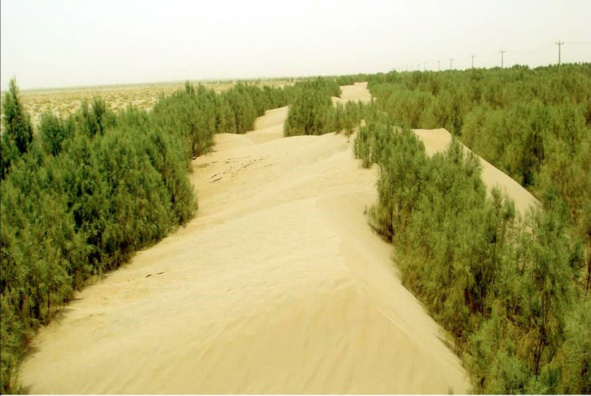 عکس بیابان 