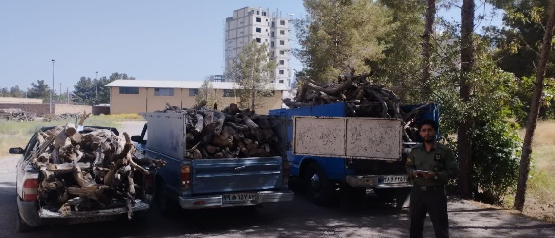 کشف و ضبط محموله چوب تاغ در کرمان