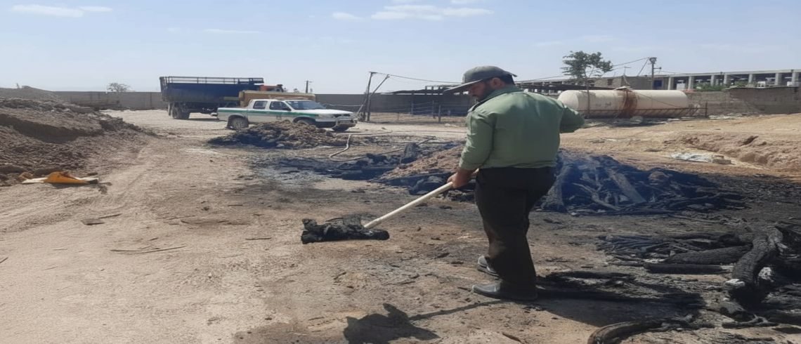 حفاظت از میراثِ حیات؛ برخورد با قاچاقچیان چوب تاغ در کرمان