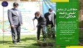 کاشت نهال توسط استاندار کرمان در آستانه هفته منابع طبیعی و روز درختکار