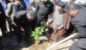 برگزاری مراسم روز درختکاری در شهرستان سیرجان