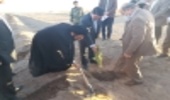 مراسم کاشت نهال در آستانه شروع هفته منابع طبیعی  با مشارکت صدا و سیمای مرکز کرمان در محل ایستگاه فرستنده رادیویی جاده جوپار