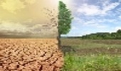 برگزاری وبینار بین المللی ارزیابی خطرات اقلیمی در مناطق نیمه خشک