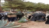 اقامه نماز وحدت و غرس نهال توسط نماینده ولی فقفیه در استان 