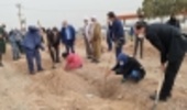 کاشت بیش از ۲ هزار اصله درخت در زرند