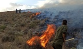 حریق 6 هکتار از مراتع چهارگنبد سیرجان را نابود کرد