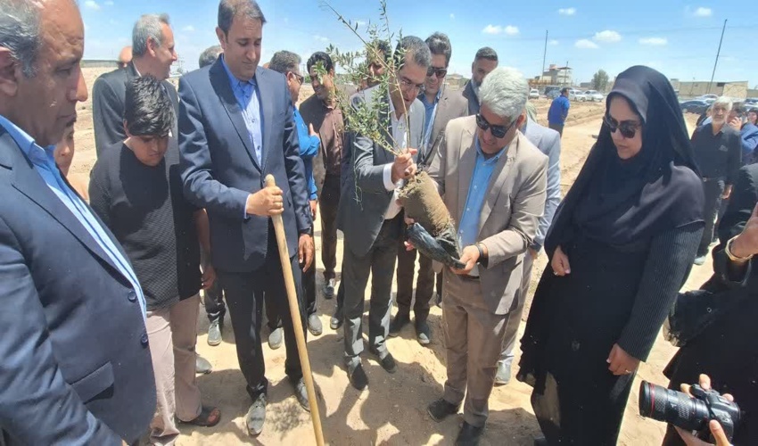 پویش درختکاری “شجره طیبه” در سیرجان برگزار شد