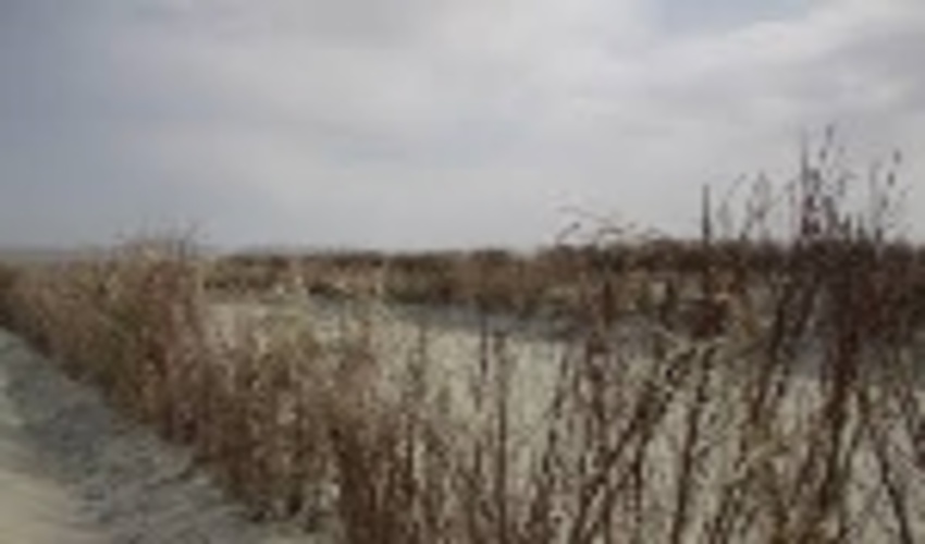 اختصاص بیش از ۲ هزار میلیارد ریال به طرح‌های بیابانزدایی مدیرکل دفتر امور بیابان سازمان جنگل‌ها، مراتع و آبخیزداری کشور گفت: امسال ۲ هزار و ۱۵۰ میلیارد ریال برای اجرای طرح‌های بیابانزدایی و کنترل فرسایش بادی در مناطق بحرانی اختصاص یافت