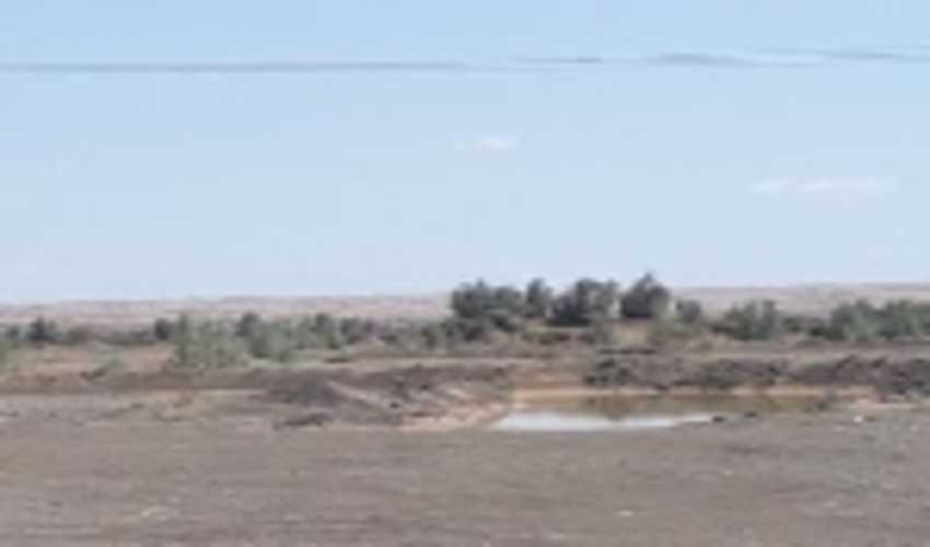 اثر بخشی اجرای  پروژه های جنگل کاری و بیومکانیک، در مهار سیل و جلوگیری از ورودسیلابهای  مخرب به روستای علی آباد مظفری شهداد 