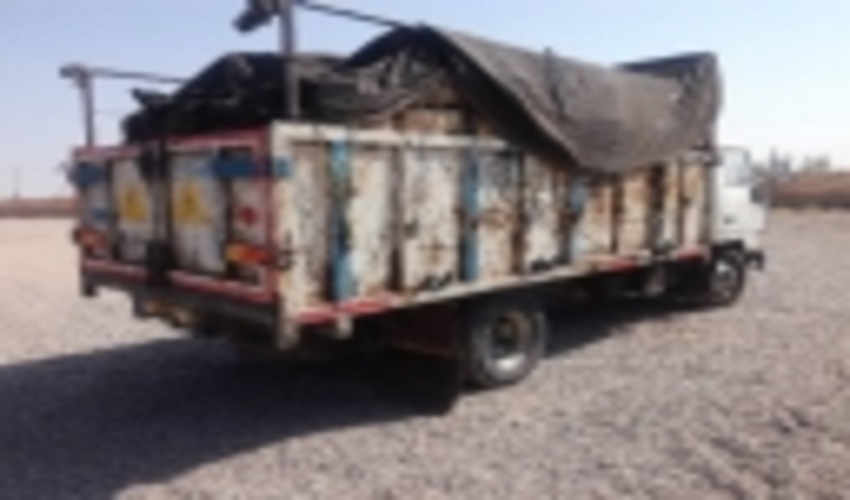 توقیف کامیون حامل دو تن زغال چوب قاچاق توسط نیروهای یگان حفاظت منابع طبیعی انار 