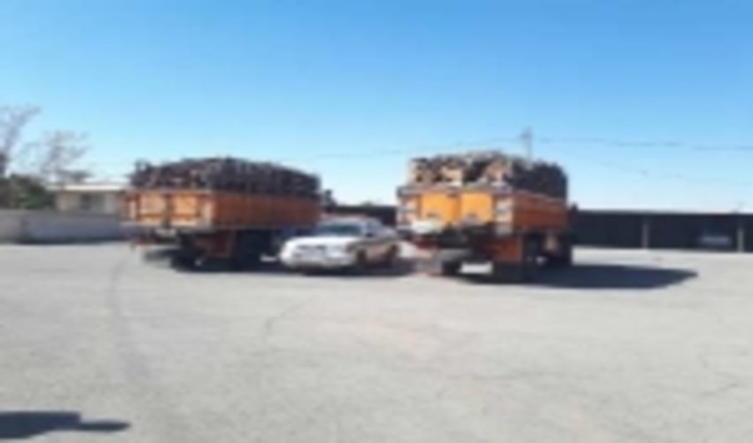 کشف محموله 20تن چوب قاچاق در سیرجان