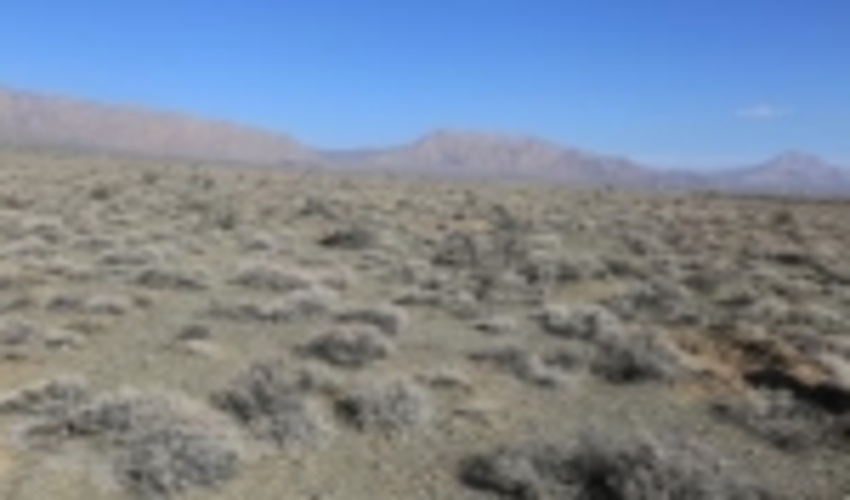 پیشرفت 100درصدی طرح های بیولوژیک و بیومکانیک از محل صندوق توسعه ملی