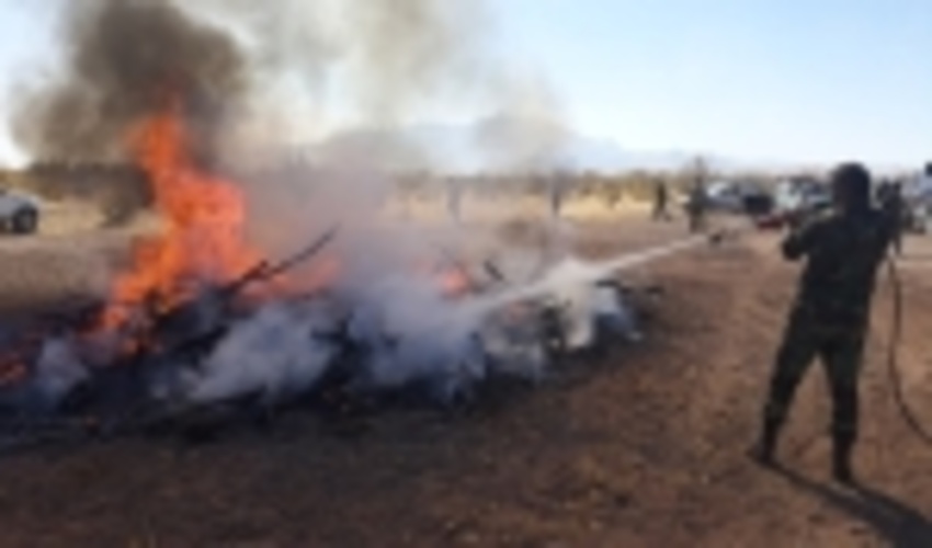 برگزاری مانور اطفاء حریق در جنگل تاغزار اطراف شهرستان کرمان