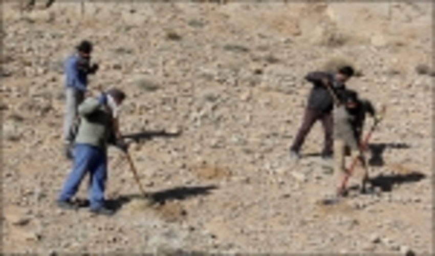 اجرای عملیات بیولوژیک، جنگل کاری درسطح 300 هکتار از اراضی ملی حوزه آبخیز بیدخوان شهرستان بردسیر