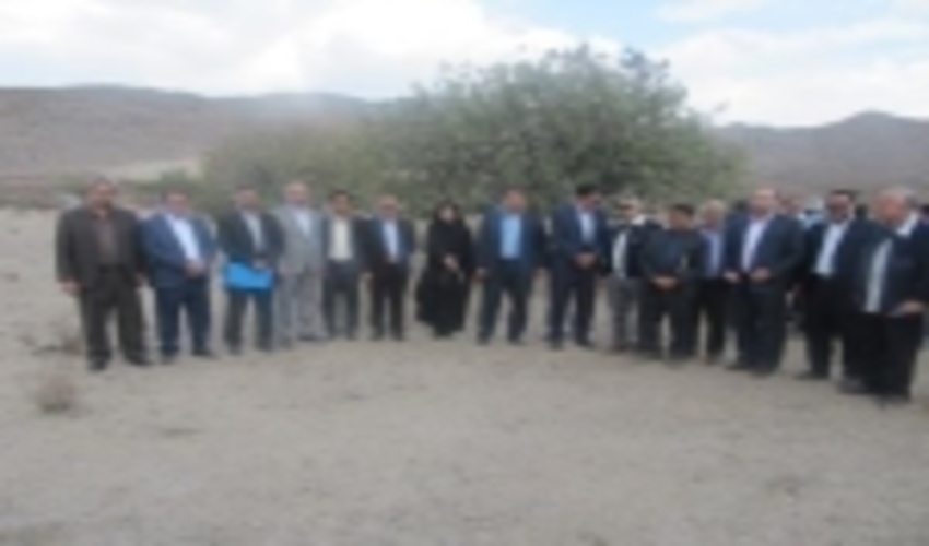 طرح حفاظت و حمایت از درختان جنگلی با مشارکت صنایع و انجمن حمایت از زندانیان