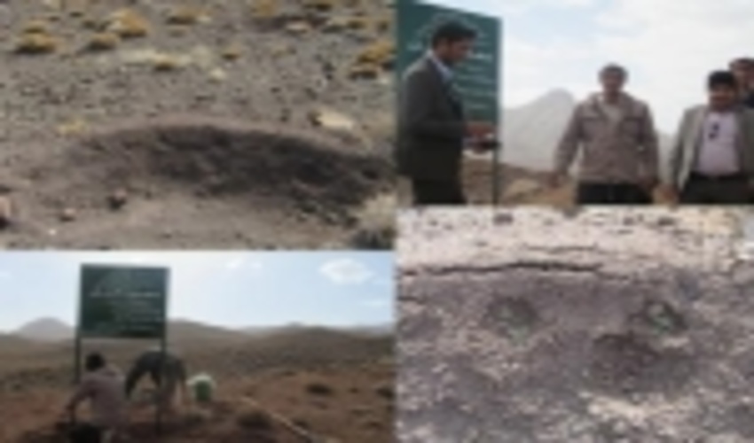 پایان عملیات بیومکانیک راویز رفسنجان از محل اعتبارات صندوق توسعه ملی 