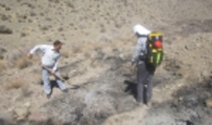 آتش سوزی در مراتع منطقه بیدان خواجه کوهبنان 