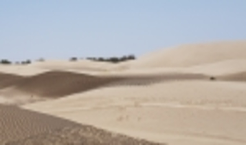 بازدید مدیرکل دیوان محاسبات استان از پروژه های بیابان زدایی