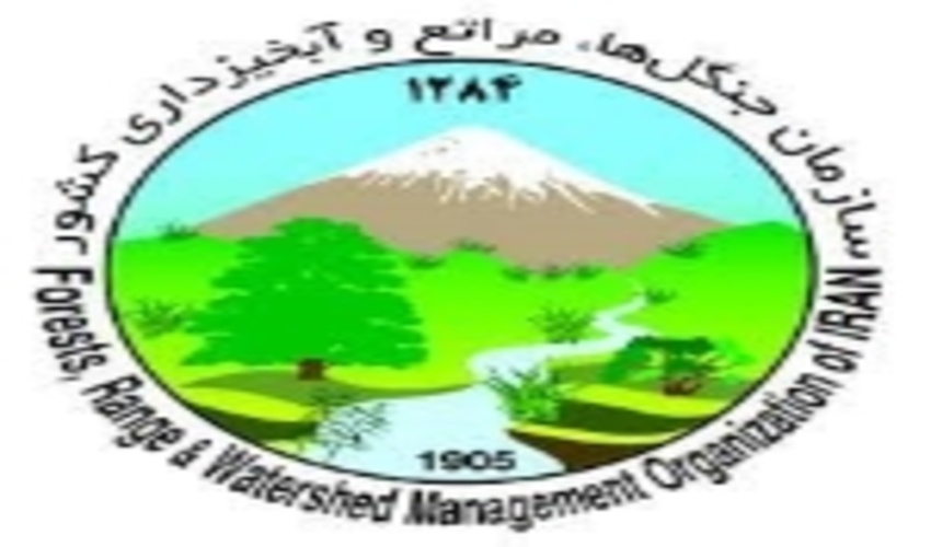 فراخوان جمع آوری آثار / سازمان جنگل ها موزه منابع طبیعی تاسیس می کند