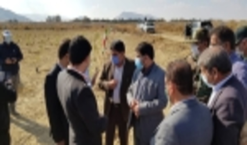  اجرای طرح زراعت چوب راهکار مطمئن احیاء جنگل های کشور است