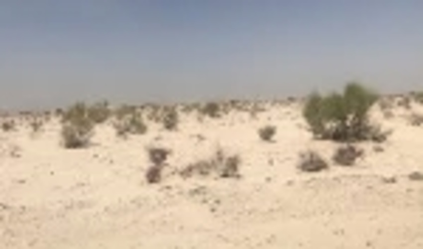 به روز رسانی دستورالعمل های فنی و اجرایی بخش بیابان