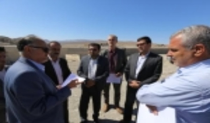بازدید دکتر حسین پور مدیر کل دفتر کنترل سیلاب و آبخوانداری سازمان جنگلها ، مراتع و آبخیزداری کشور از پروژه های آبخیزداری ، در شهرستان های انار و رفسنجان 