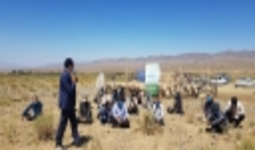 کارگاه  میدانی  آموزش مدیریت مراتع  و تشریح طرح نه در نود و نه  در لاله زار بردسیر 