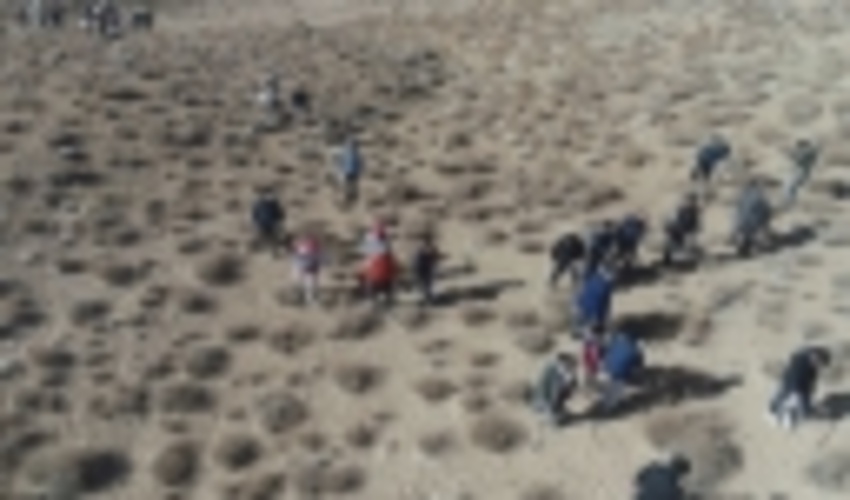 مشارکت مردم در پروژه بذرکاری حوزه آبخیز راویز رفسنجان در قالب طرح جنگلانه 