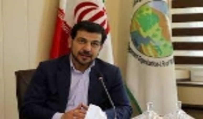 تقدیر معاون وزیر جهادکشاورزی از مدیرکل منابع طبیعی و آبخیزداری استان کرمان