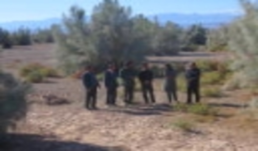 بازدید مدیر کل دفتر امور بیابان سازمان جنگلها ، مراتع و آبخیزداری کشور از دستاوردهای پروژه ترسیب کربن شهداد