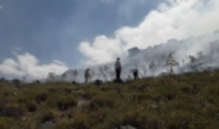 مهار آتش در منطقه باغبزم شهرستان بردسیر پس از 12 ساعت تلاش نیروهای یگان حفاظت منابع طبیعی و مردم محلی