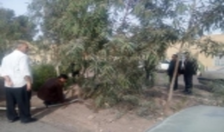 استفاده از آب غیر قابل شرب جهت آبیاری ایستگاه تولید نهال، گامی موثر در زمینه صرفه جویی و استفاده  بهینه آب 