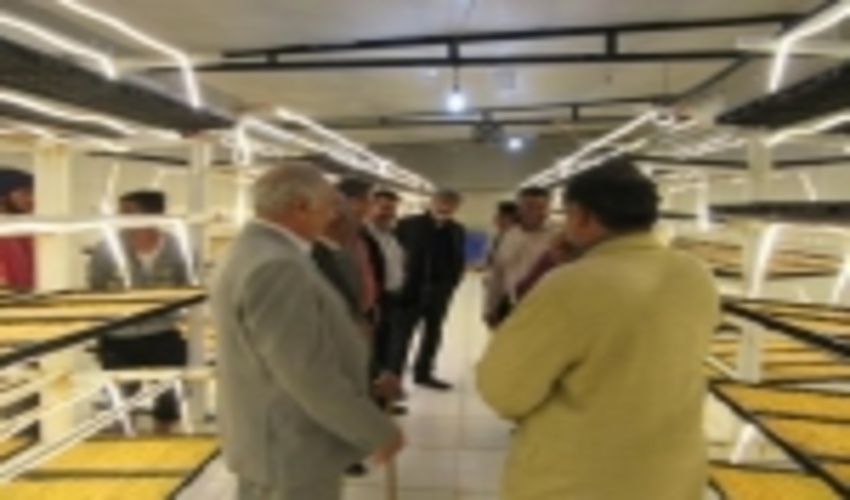  کشت علوفه به روش هیدروپونیک در سیرجان، الگویی برای مصرف بهینه و کاهش فشار دام بر مراتع 