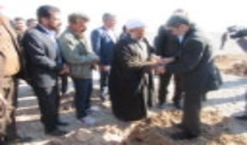 همزمان با سراسر کشور عملیات نهالکاری در سنگ سیریز زرند برای مقابله با پدیده گرد و غبار آغاز شد 