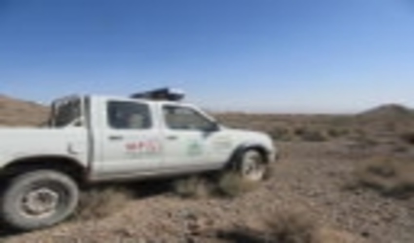 برخورد با متصرفین اراضی ملی  شهرستان انار 