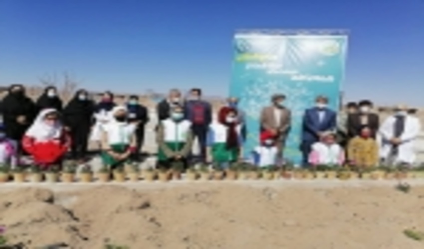 غرس نهال توسط کودکان دوست دار طبیعت در هفته منابع طبیعی