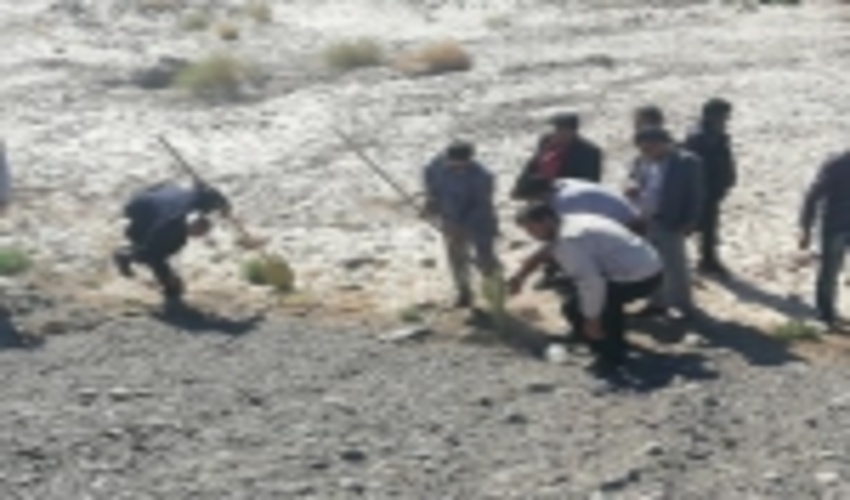 حضور مدیران و رئیسان ادارات بم در منطقه قطب اباد بمنظور بازدید از طرحهای بیابان زدایی از محل صندوق توسعه ملی سال 98