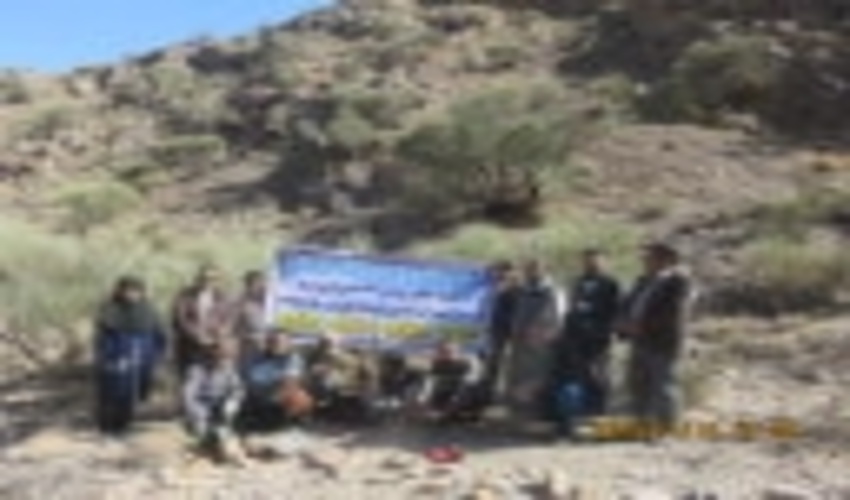 پیشرفت پنجاه درصدی طرح مبارزه با آفات درختان جنگلی در حوزه های آبخیز غرب و جنوب یزدان آباد 