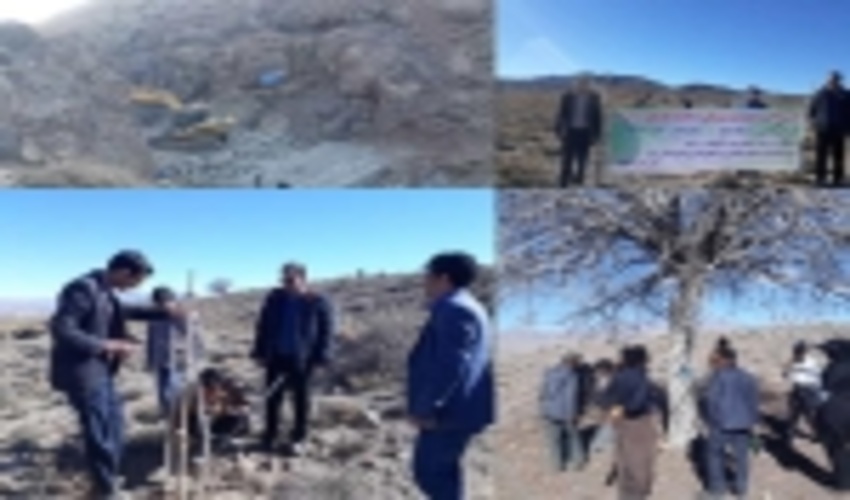  اجرای همزمان عملیات آبخیزداری از محل اعتبارات صندوق توسعه ملی و حفاظت از عرصه ها در رابر 