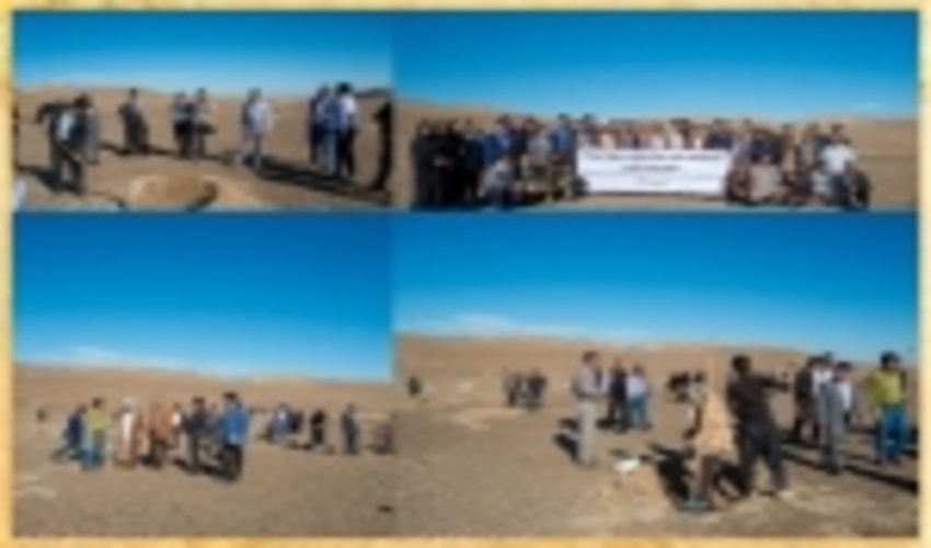 طبیعت نیاز به رسیدگی دارد