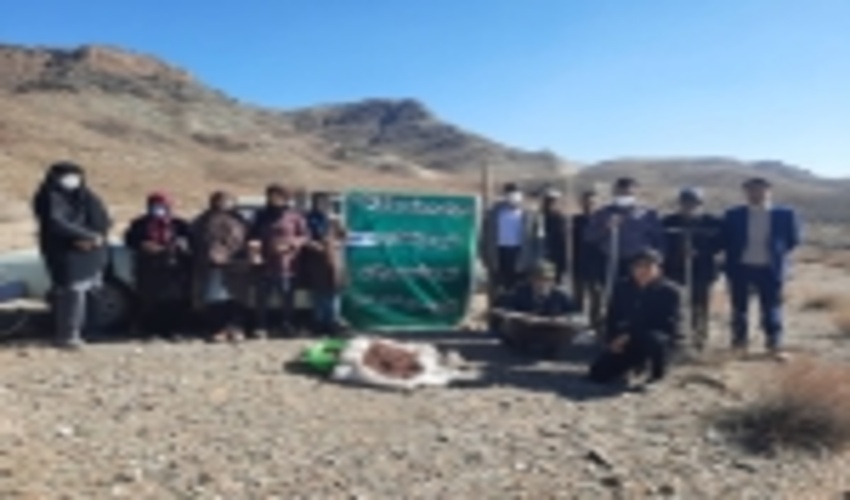 اجرای 400هکتار پروژه بیولوژیک در مراتع شهرستان سیرجان