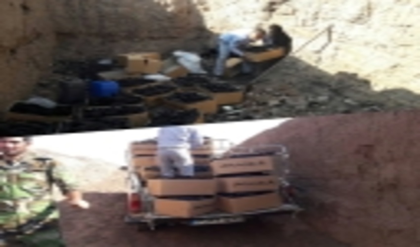 کشف  مقادیری ذغال تاغ و دستگیری عوامل قطع غیر مجاز  درختان جنگلی   در رفسنجان 